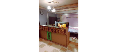 광주.풍암[그레이] ✅아로마&타이마사지✅